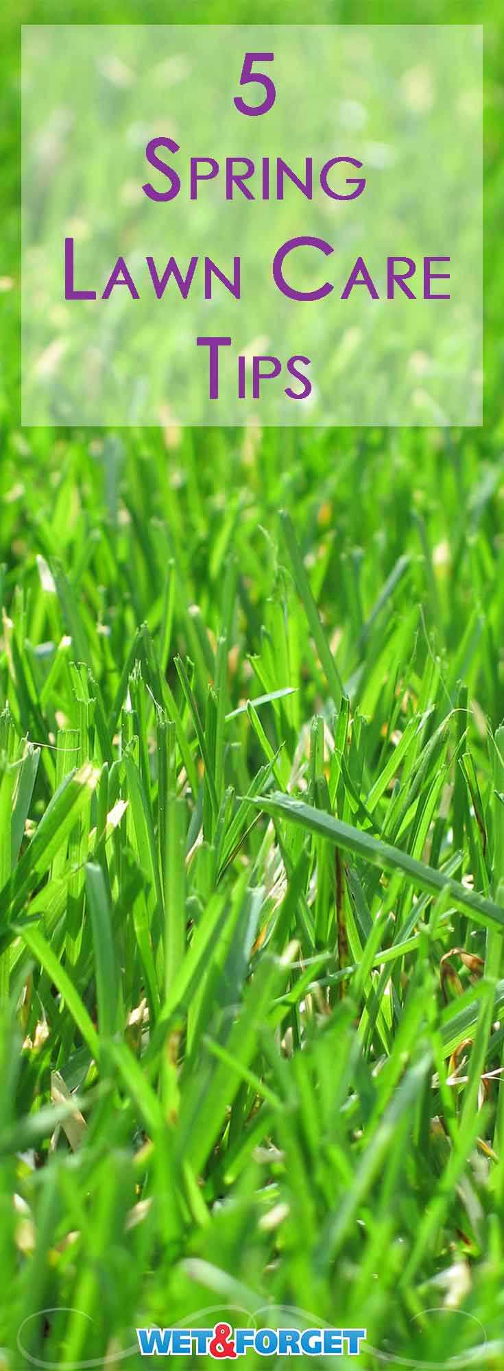 Ask Wet & Use Our Top 5 Spring Lawn Care Tips to Enjoy Lots of