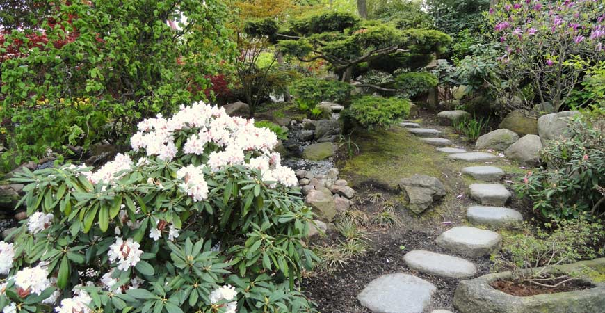 Ask Wet & Forget Down the Garden Path: Design the Perfect Path to