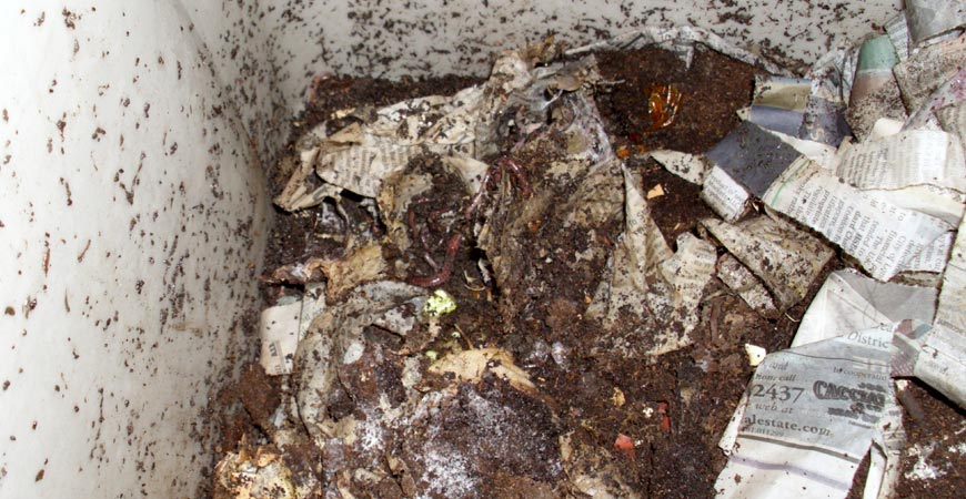 Worm-Composting