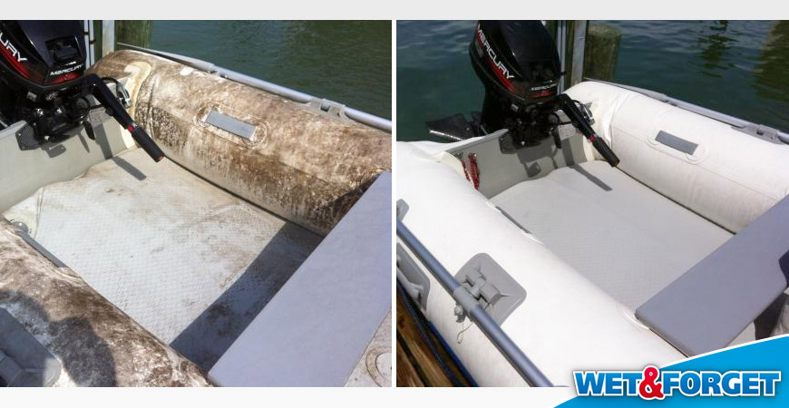 boat mold remover