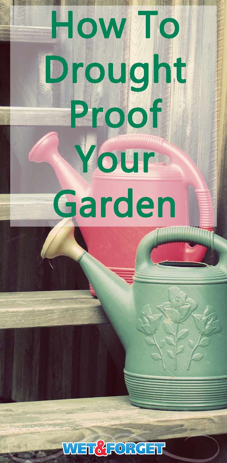 Droughts can wreak havoc on your garden! Don't let your plants shrivel up during a dry period. Use these helpful tips to make sure your garden doesn't suffer during the next drought. 