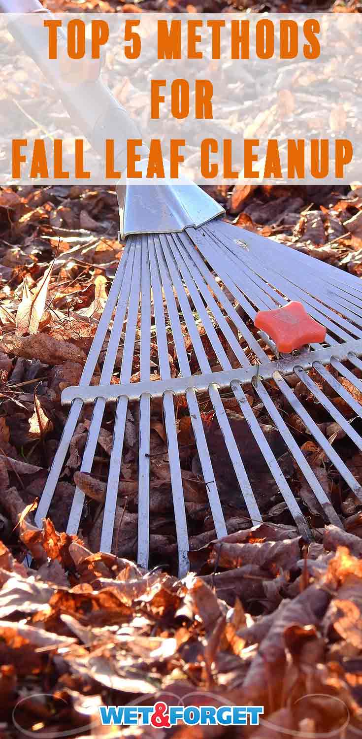 Simplify your fall clean up with these easy leaf cleanup methods.