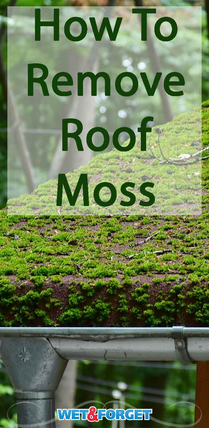 Stuck with moss coating your roof? Remove pesky moss build up on your roof with this simple process!