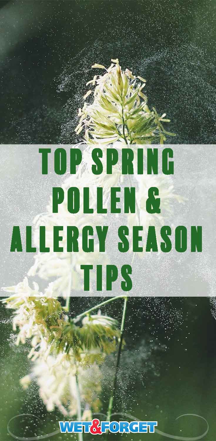 Follow these key tips to get through this spring's allergy season!