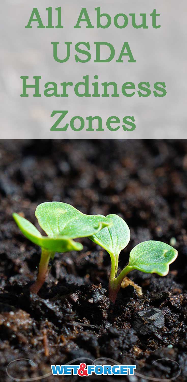 Spring is here- and many of us are ready to get a jump start on our gardening. Discover how to tell which USDA hardiness zone you're in and why it's important to follow your zone's guidelines.