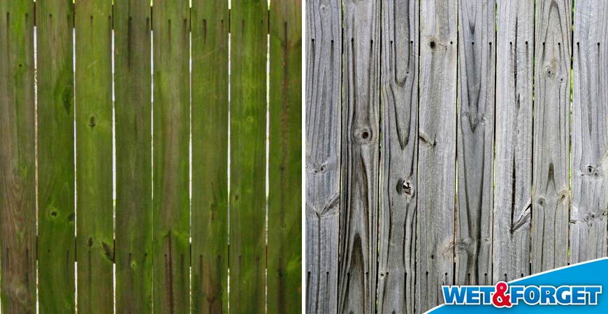 remove green on fence