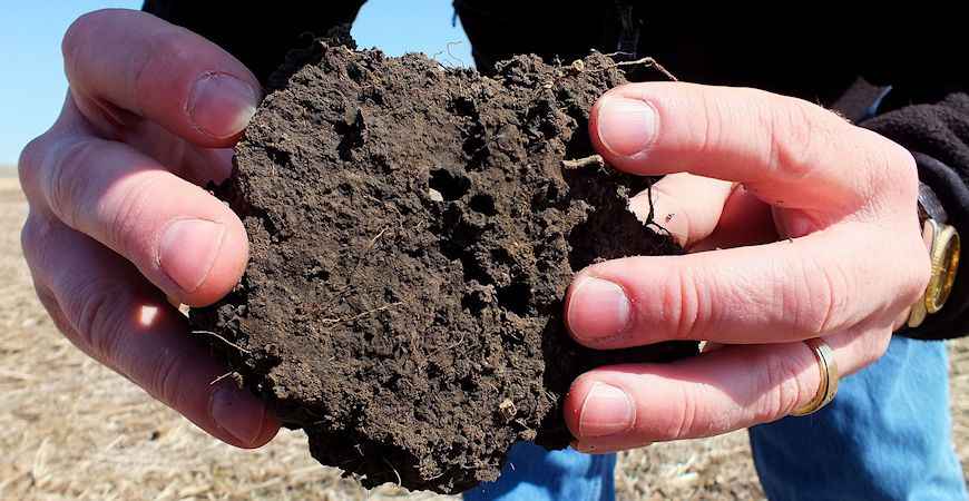 garden soil test
