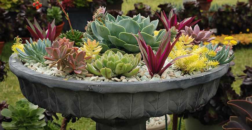 Container Garden - The Idea That Might Solve Urban Issues