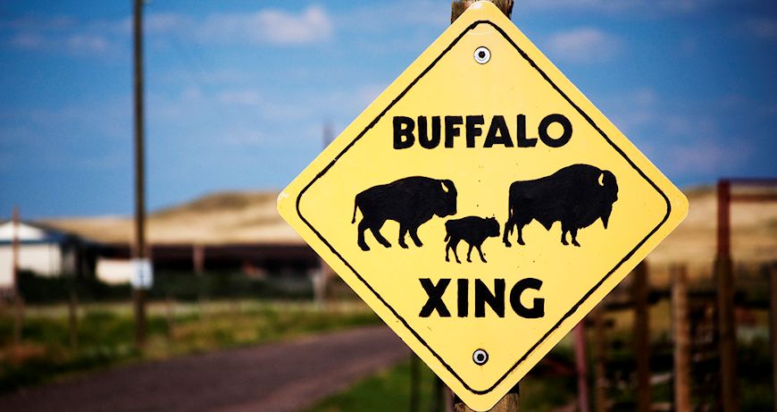 best buffalo wing recipe