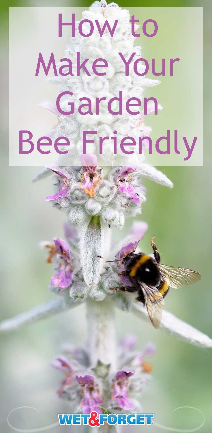 These quick ideas are sure to welcome bees to your garden!