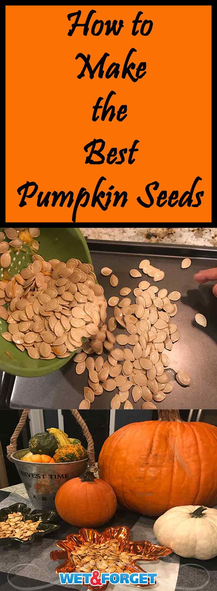 Fall's harvest is in full swing which makes it the perfect time to make pumpkin seeds! Read up on our top tips and favorite recipe for making pumpkin seeds. 