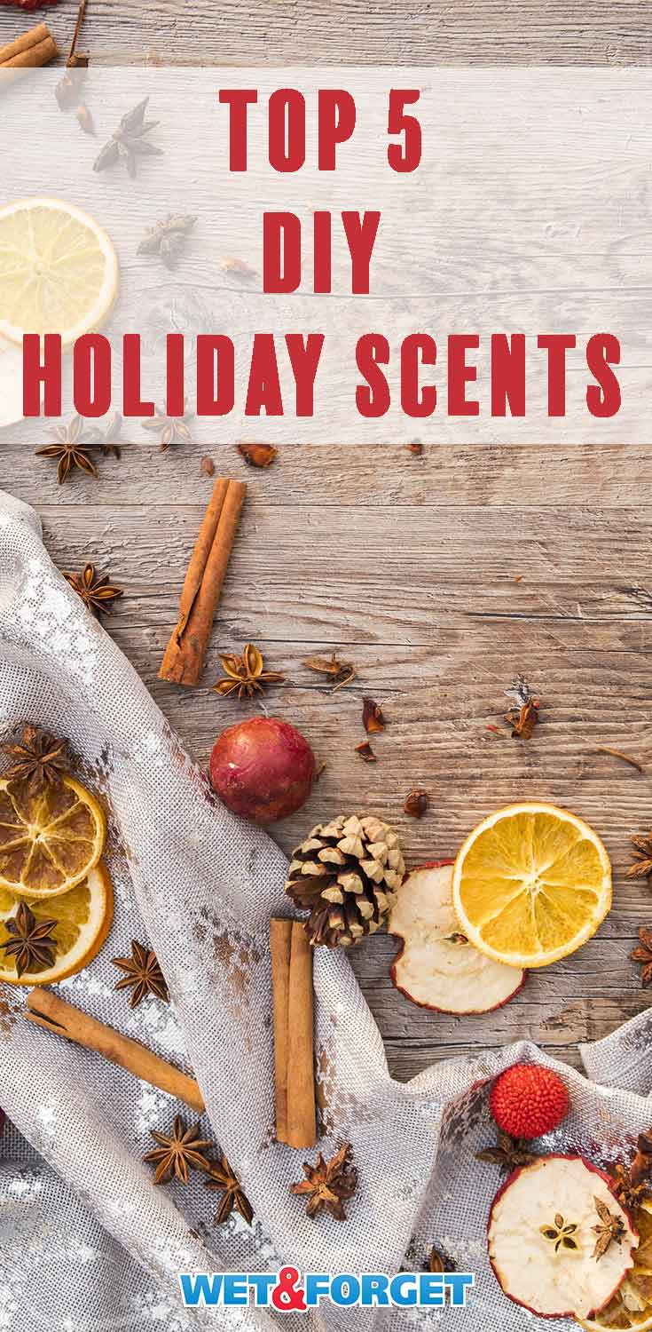 Let your home smell like the holidays with these quick and easy DIY holiday scent ideas!