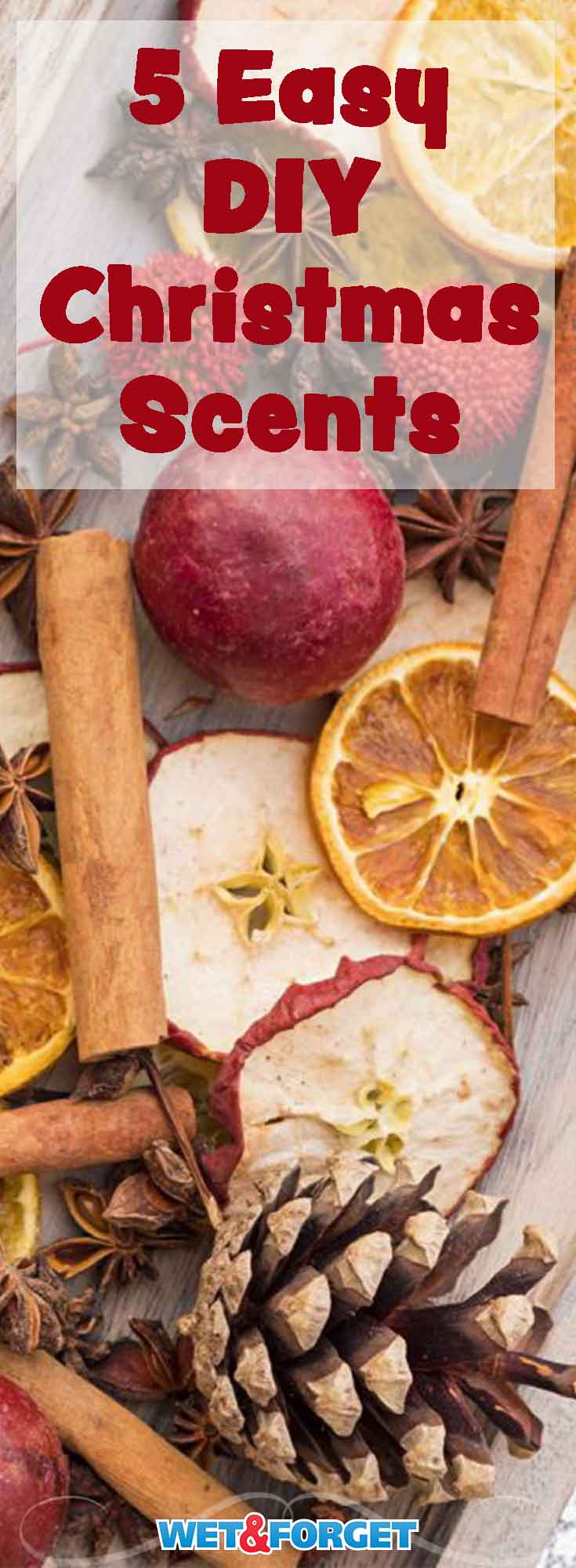 These festive fragrances are sure to welcome your guests this Christmas season! Learn how to make quick and easy DIY scents with using our favorite ideas. 