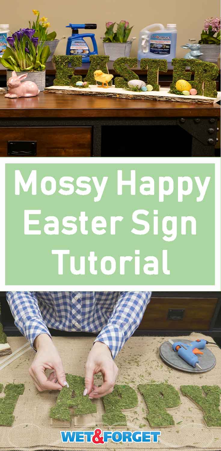 Bring mother nature into your home with this DIY moss Happy Easter sign! Create this mossy sign to make it in a few simple steps.