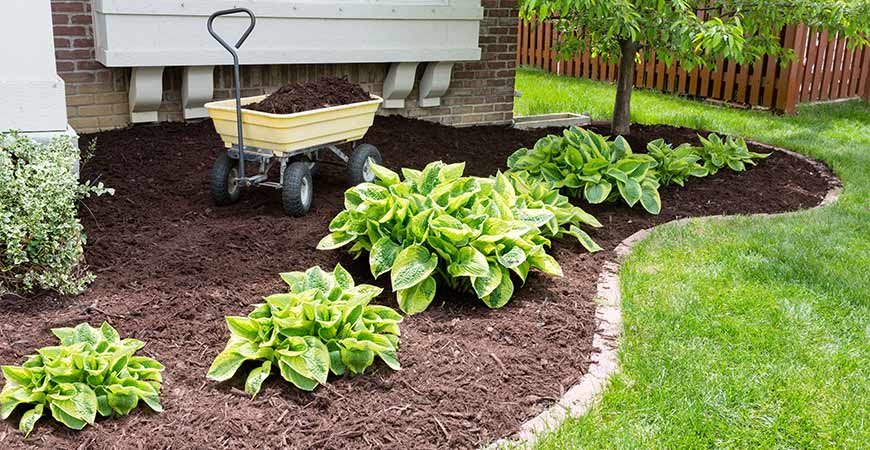 Add mulch to your backyard this spring!