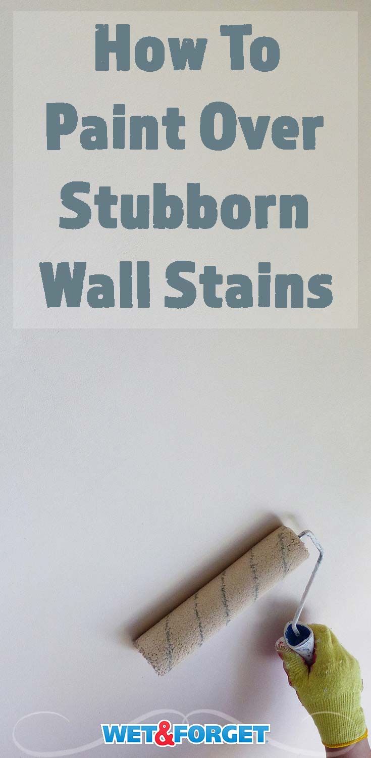 Do you have a wall stain that just won't seem to go away? Learn how to treat it and paint over it with these easy steps!