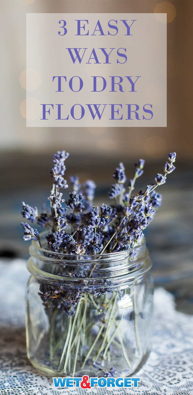 Before tossing out the fall flowers, learn how you can put them to use. Check out these 3 drying flower methods and how to decorate with them. 