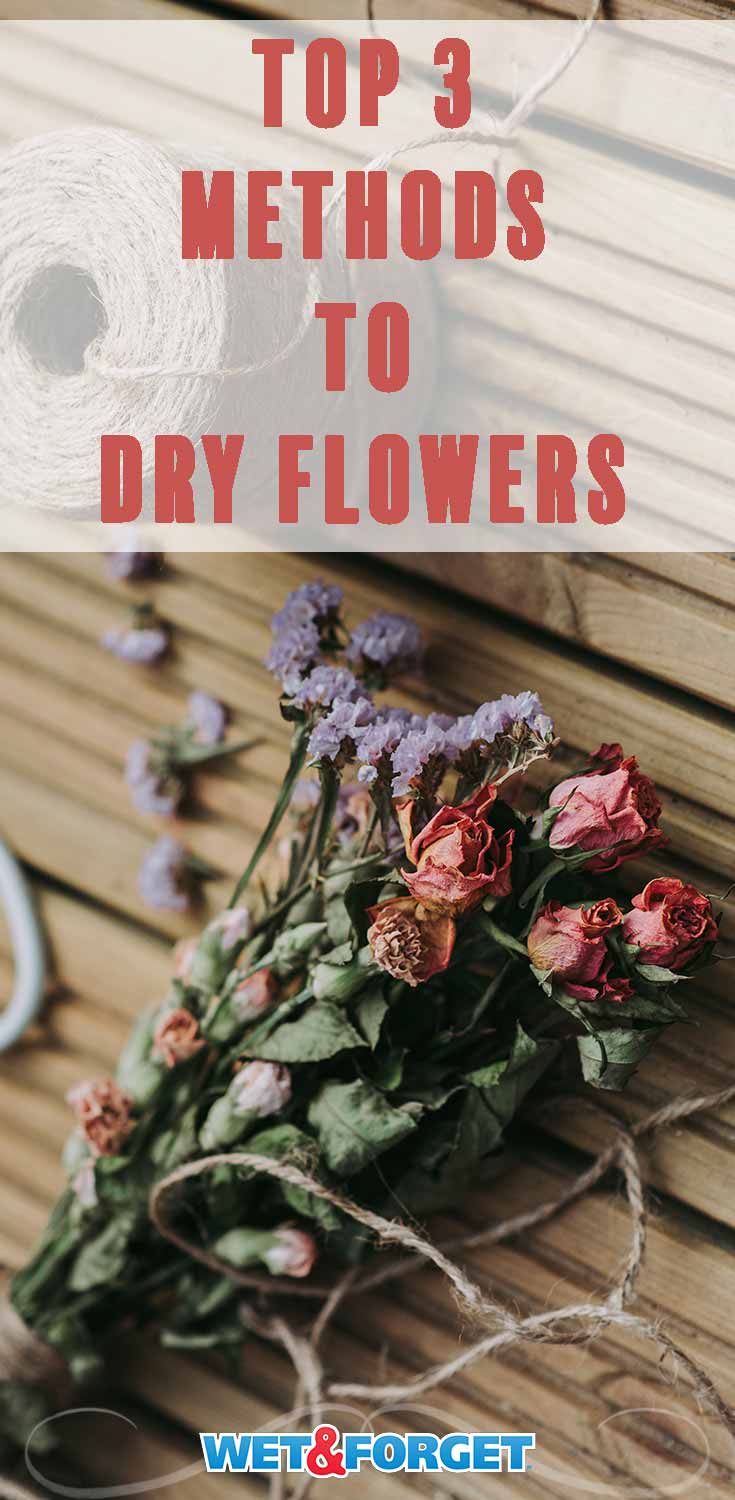 Discover how to dry flowers and decorate with them this season!