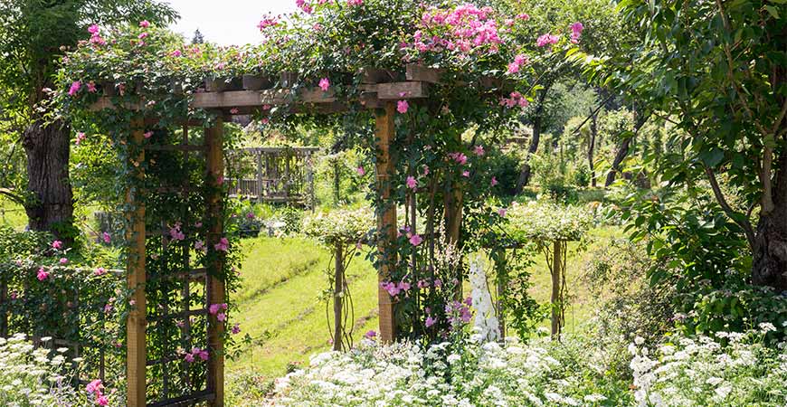 An arched trellis adds a distinct look to any garden